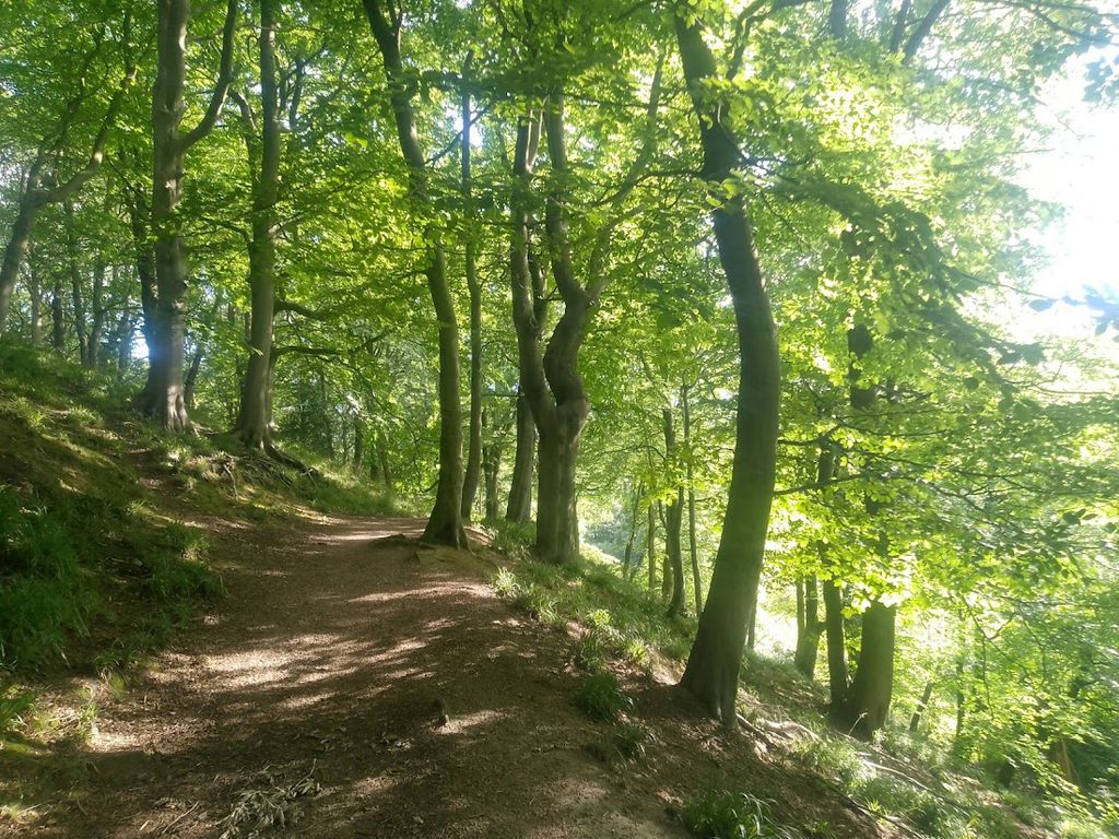 Crawshaw Grove Beauchief